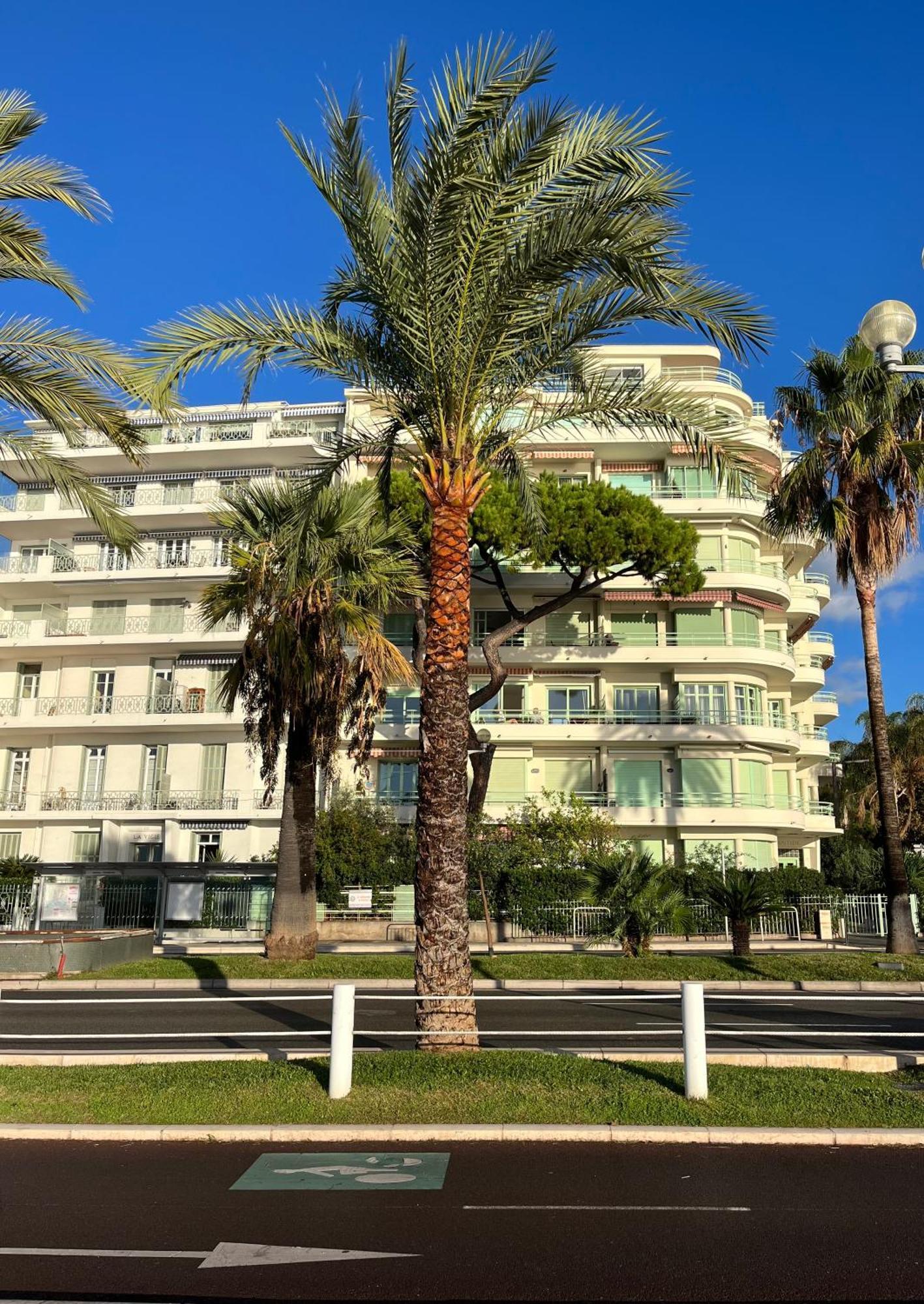 Nice 115 By The Sea 외부 사진